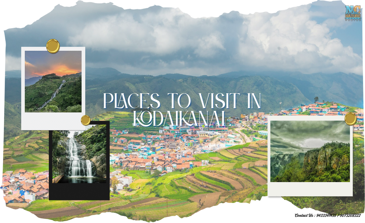 Tamil Nadu Kodaikanal, Kodaikanal tourist attractions, places to visit in Kodaikanal Tamil Nadu, 